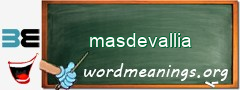 WordMeaning blackboard for masdevallia